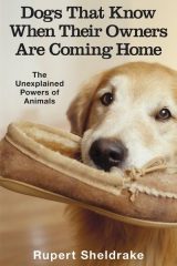 Dogs That Know When Their Owners Are Coming Home - Rupert Sheldrake